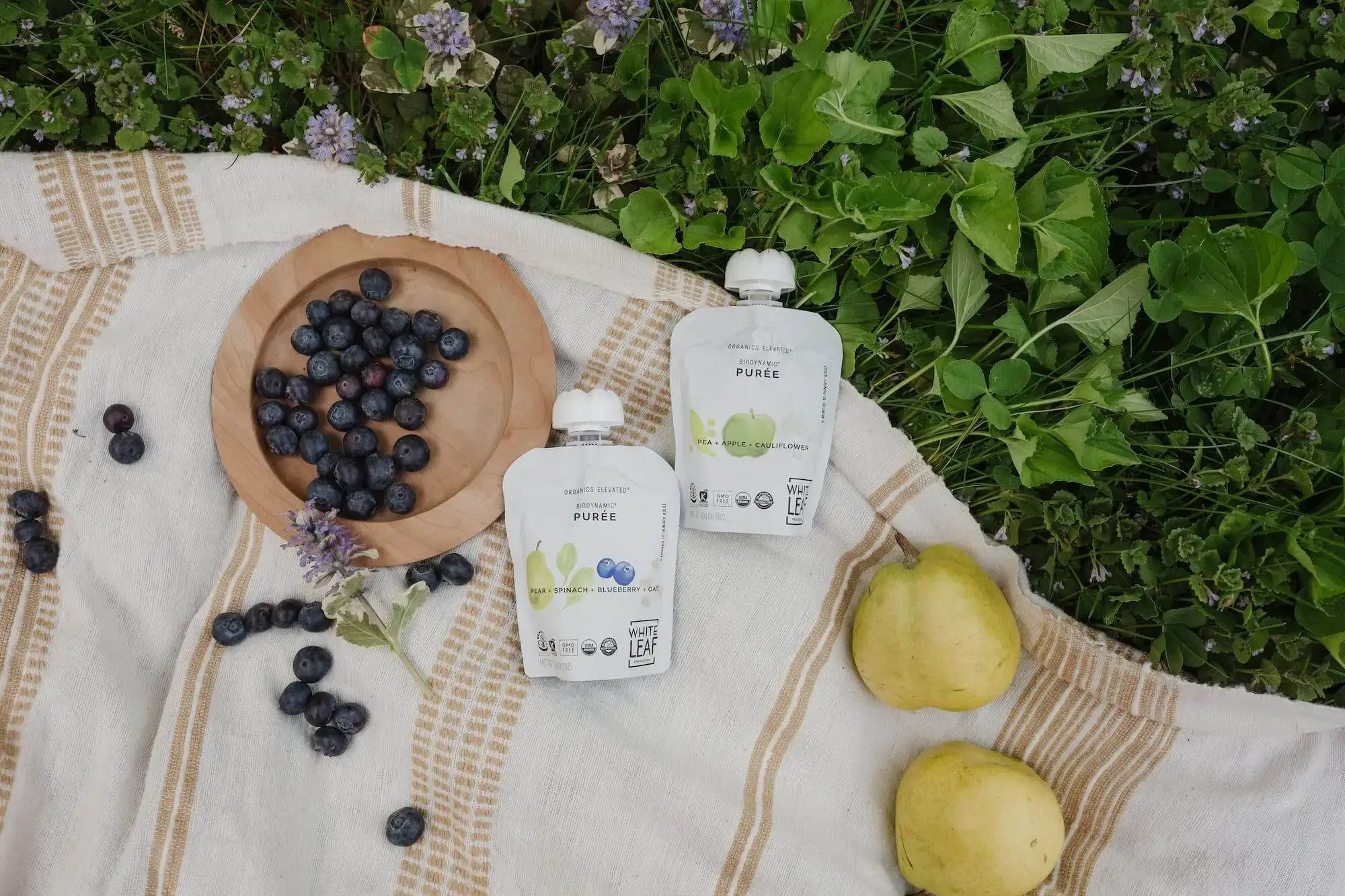 Welcome to Our Store